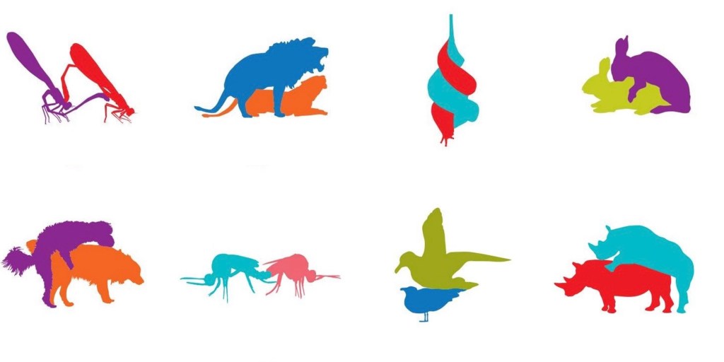 Pleasure is a Measure of&nbsp;Freedom