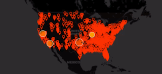 Police Killed at Least 1,251 in 2024
